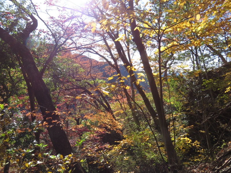 奥久慈・男体山